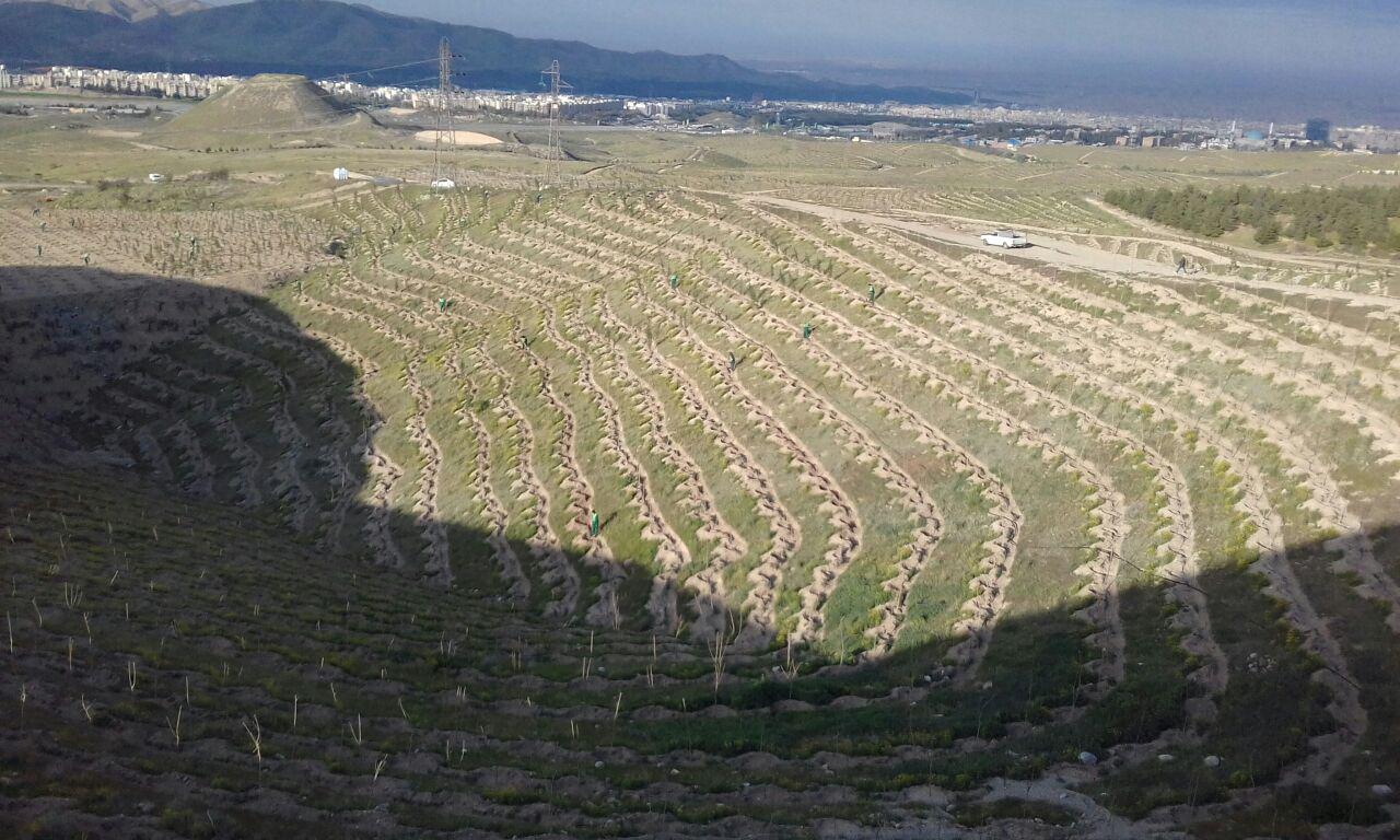 ایجاد کمربند سبز تهران؛ طرحی شکستخورده با هزینههای میلیاردی ایجاد کمربند سبز تهران؛ طرحی شکستخورده با هزینههای میلیاردی