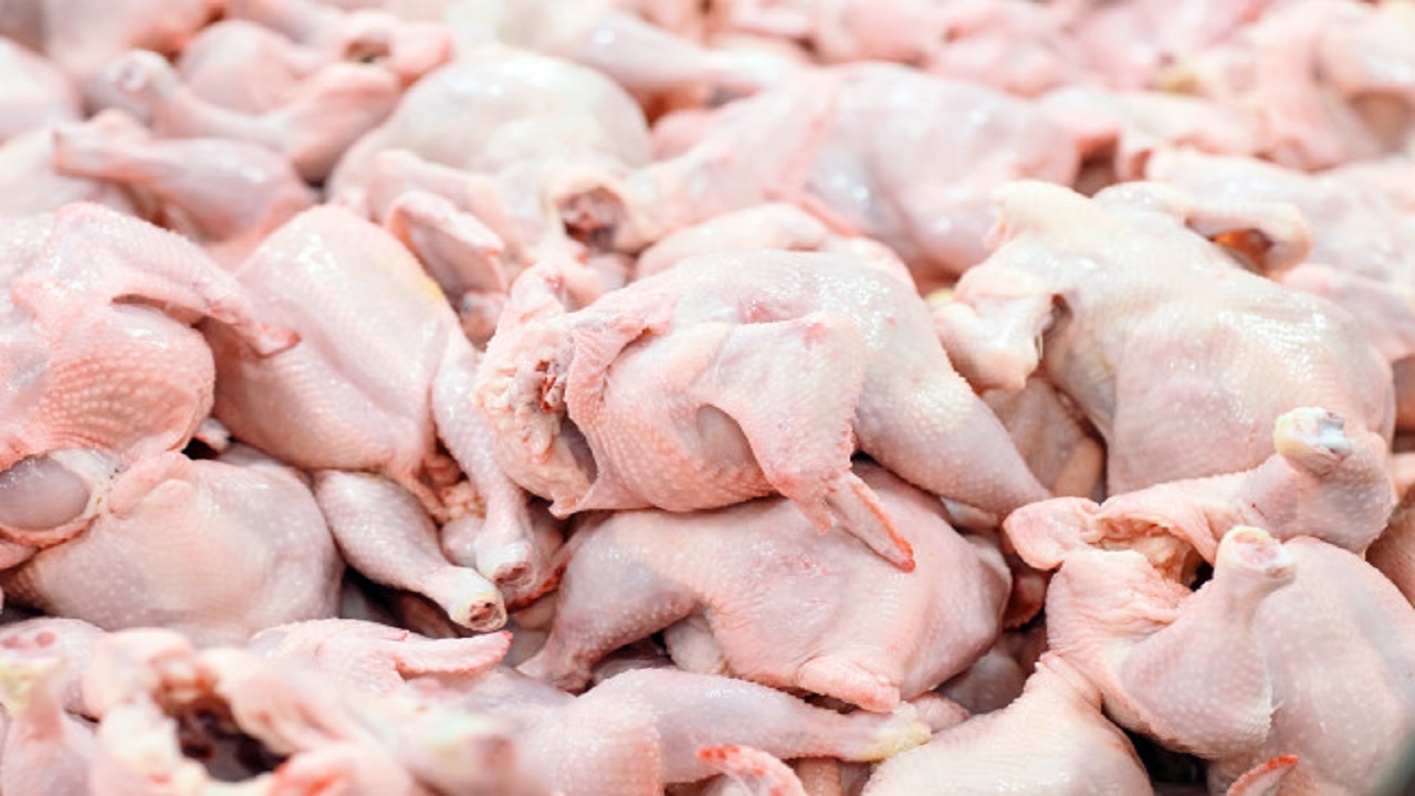 چرا واردات مرغ ناقص انجام شد؟