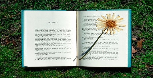 با پرخوانندهترین رمانهای عاشقانه در سال ۲۰۲۱ آشنا شوید با پرخوانندهترین رمانهای عاشقانه در سال ۲۰۲۱ آشنا شوید