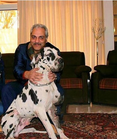 مهران مدیری در کنار سگ غول پیکر