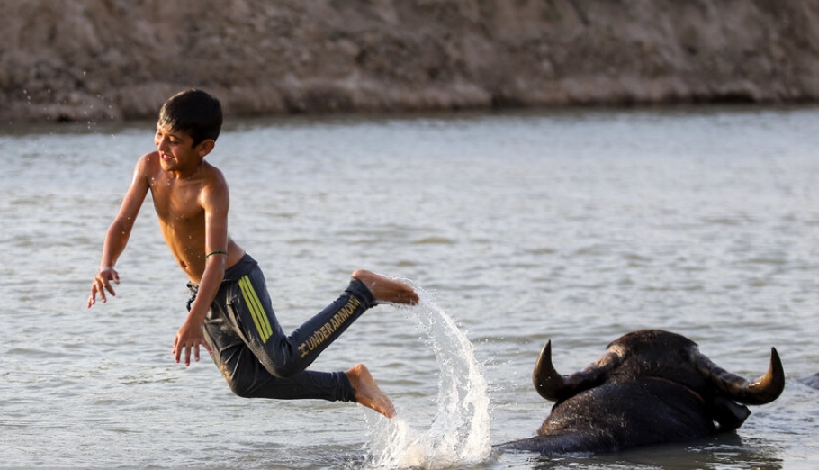 رهاسازی آب سد کرخه، از سوسنگرد تا هورالعظیم رهاسازی آب سد کرخه، از سوسنگرد تا هورالعظیم