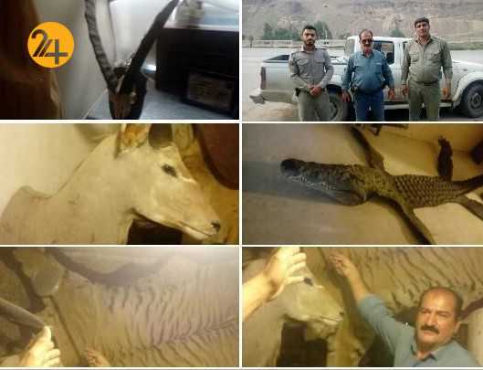 کشف پوست پلنگ و ۶ گونه تاکسیدرمی شده حیات وحش درآمل