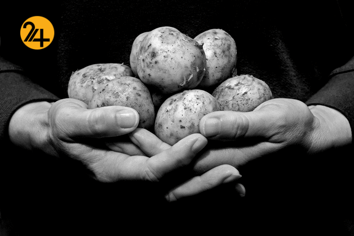 بهترین عکس‌های سال با سوژه سیب‌زمینی