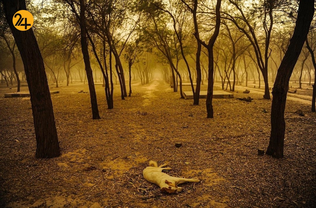 بحران ریزگردها در خوزستان