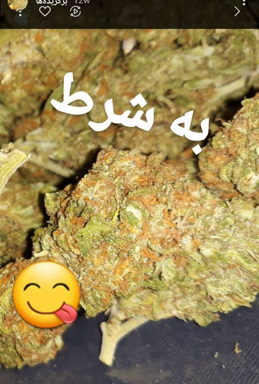 خرید و فروش گل در تهران چقدر درآمد دارد؟