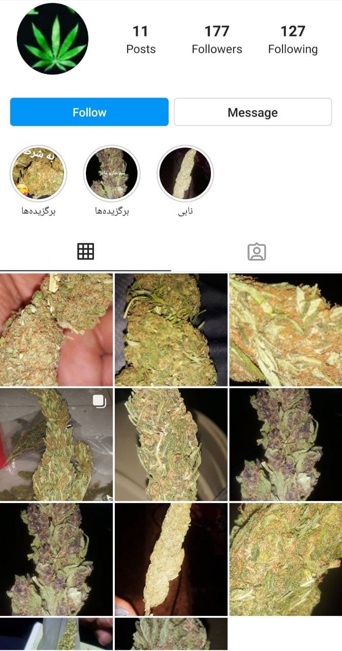 خرید و فروش گل در تهران چقدر درآمد دارد؟