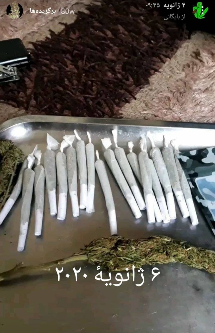 خرید و فروش گل در تهران چقدر درآمد دارد؟