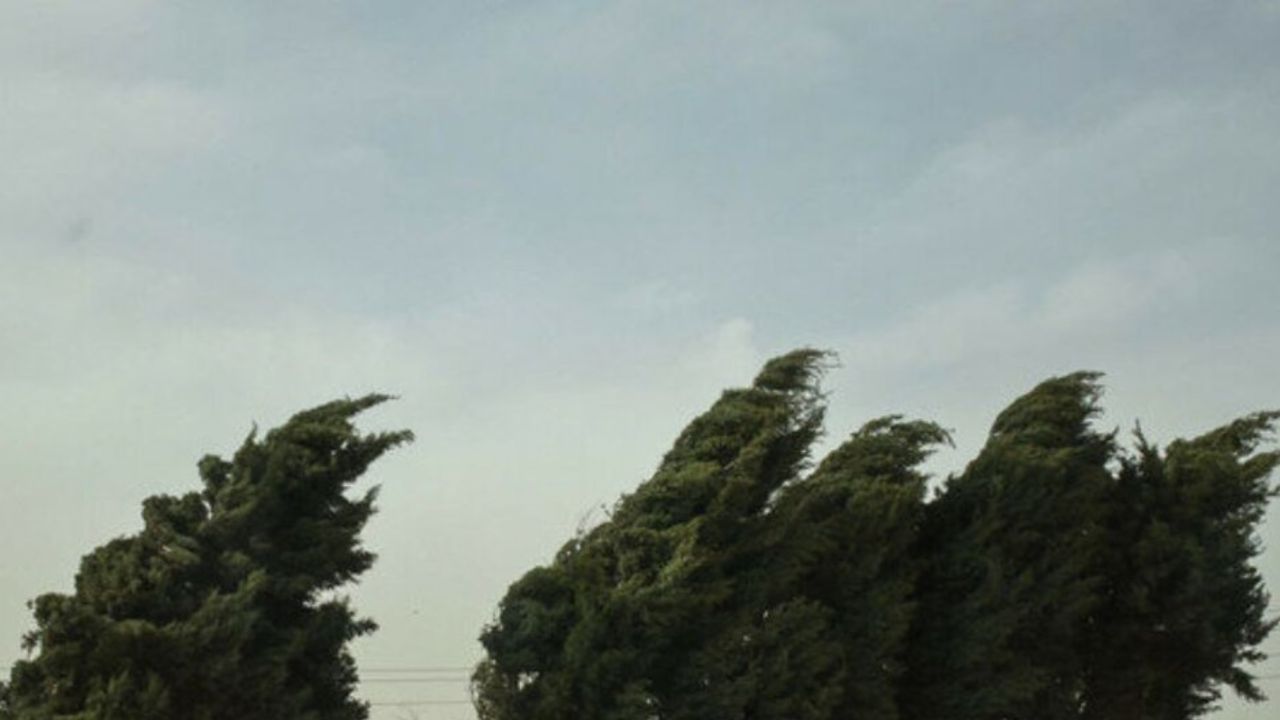 اخبار هواشناسی اخبار هواشناسی