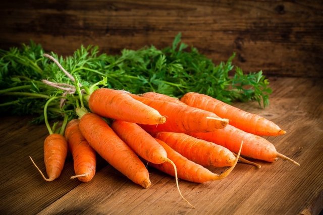 افزایش قیمت هویج