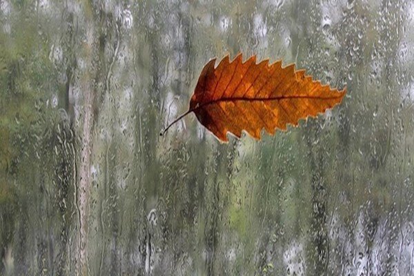 پاییز گرم و کم‌بارشی پیش رو داریم