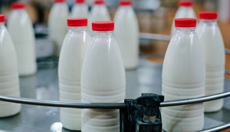 وضعیت نامعلوم قیمت شیرخام و محصولات لبنی