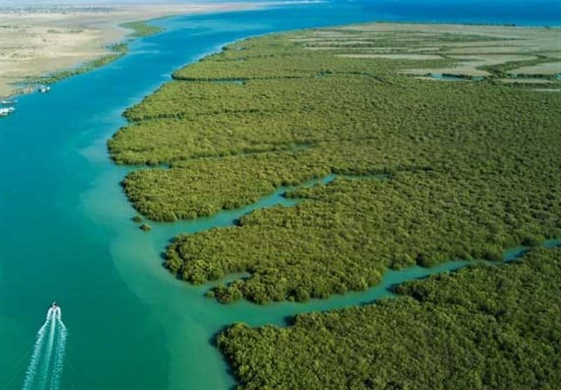 محیط زیست: در آینده نزدیک خلیجفارس شورترین پهنه آبی بزرگ دنیا میشود / جلوگیری از ورود آب شیرین به دریا از عوامل اصلی ایجاد این فاجعه است خلیج فارس