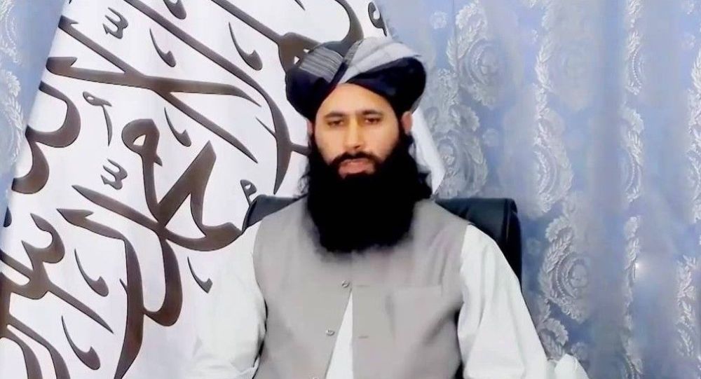 سخنگوی طالبان: ارتباطی با القاعده نداریم