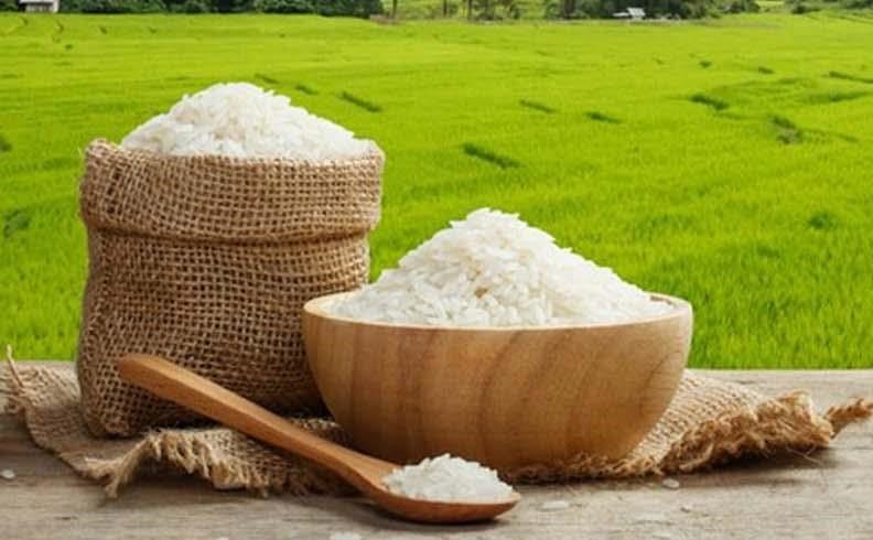 افزایش قیمت برنج ادامه دارد