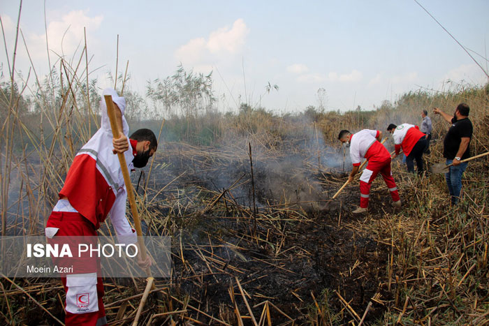 آتش سوزی در تالاب انزلی منطقه چراغ پشتان