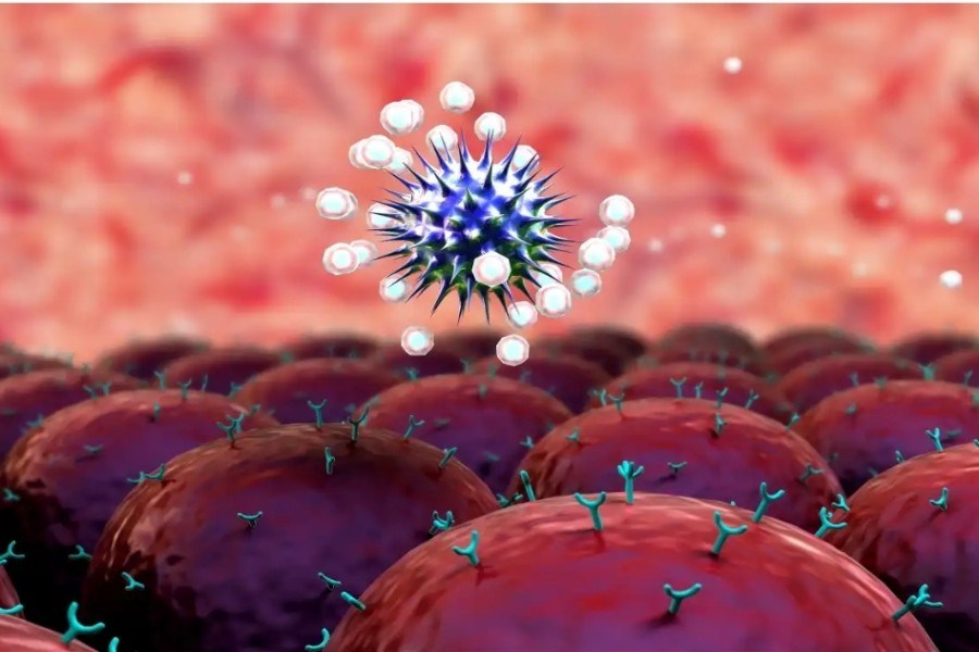 زمان پایان ویروس کرونا زمان پایان ویروس کرونا