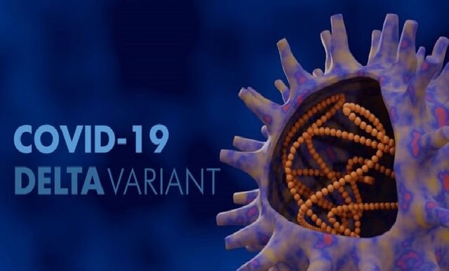 مو خطرناک‌تر است یا کرونای لامبدا؟