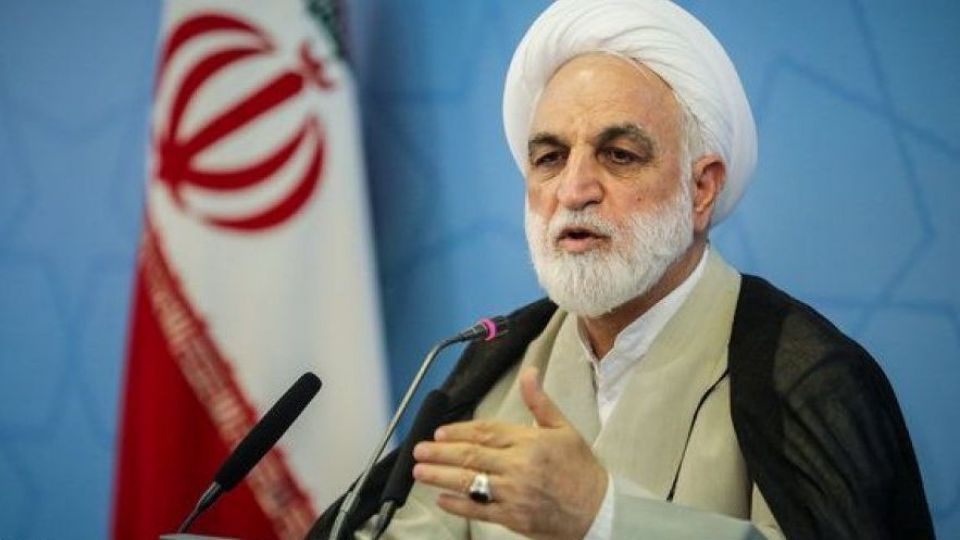 اژه‌ای: گاهی ممکن است کاری که از دست لوطی در یک محله برمی‌آید، از شورای حل اختلاف ساخته نباشد