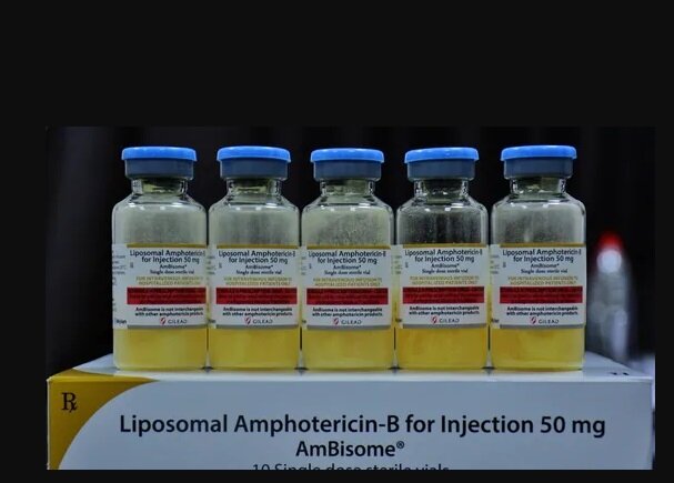 هشدار سازمان غذا و دارو درباره داروی تقلبی قارچ سیاه با قیمت ۲۰ برابری