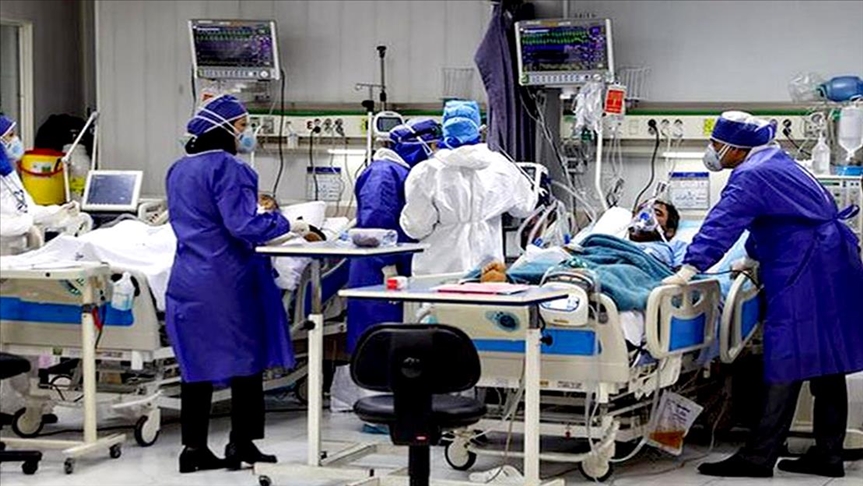 علت کمبود داروی قارچ سیاه چیست؟