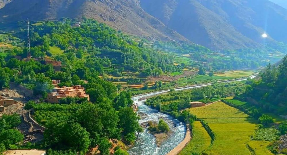 حکومت طالبان در افغانستان