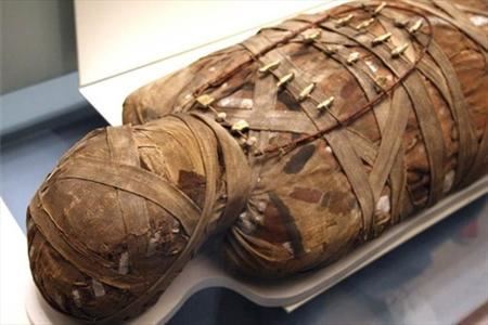 اخبار حوادث