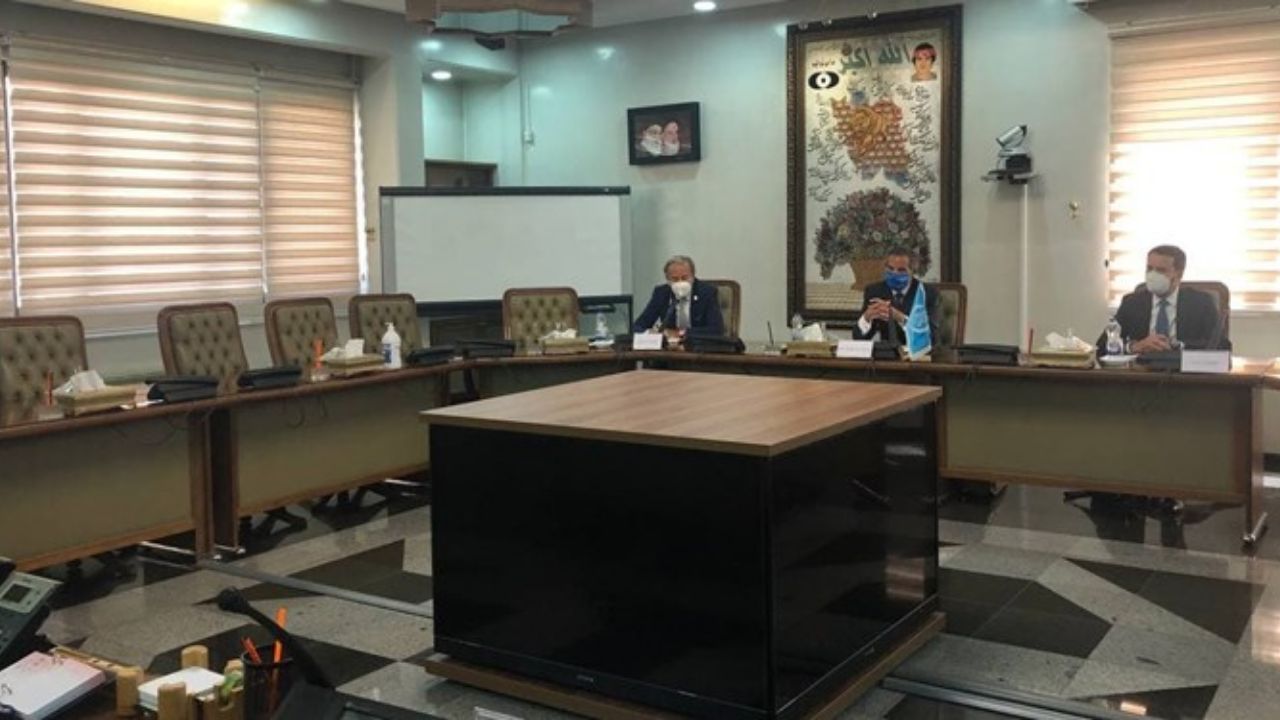 مدیرکل آژانس بین‌المللی انرژی اتمی با محمد اسلامی دیدار کرد