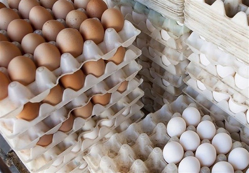 قیمت هرشانه تخم مرغ بیش از ۵۰ هزار تومان!