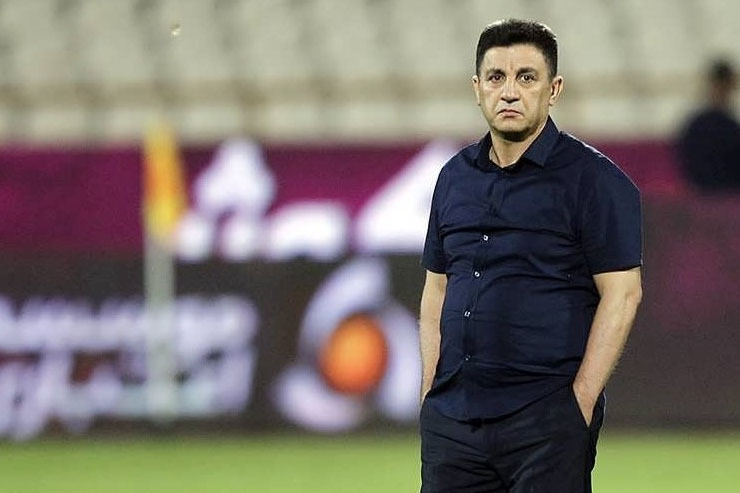 امیر قلعه‌نویی 