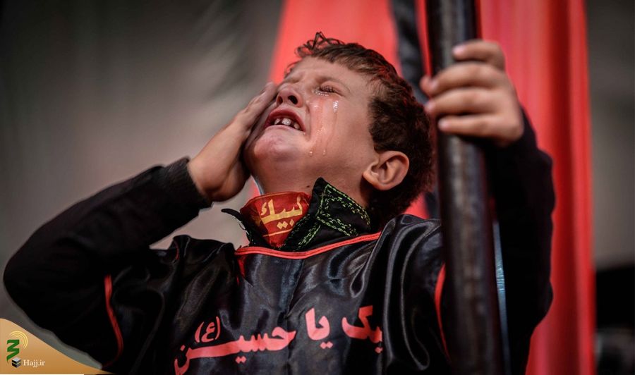 تصاویر برگزیده زیباترین عکس از زائران اربعین