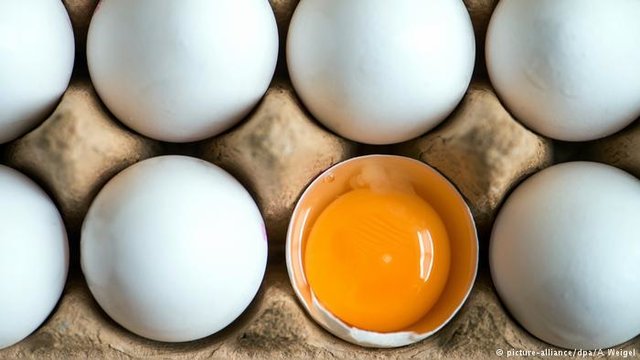 چرا تخم‌ مرغ دوباره گران شد؟