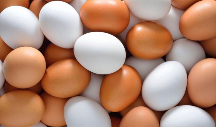 تخم مرغ دوباره گران خواهد شد؟