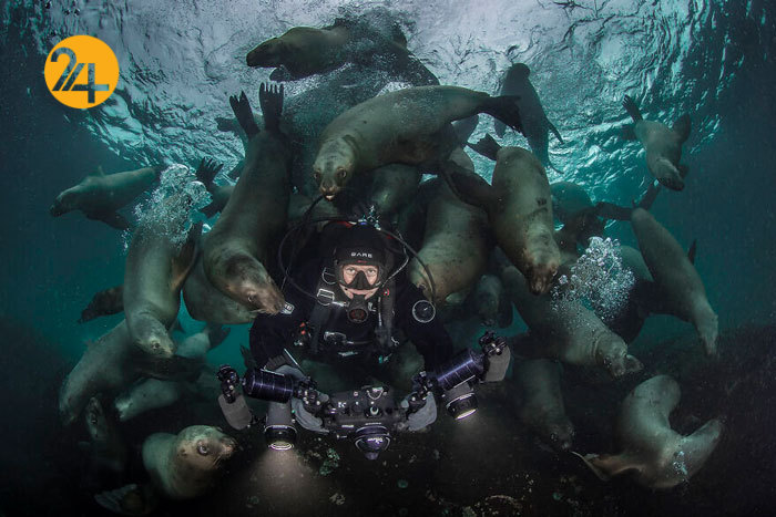 فینالیست‌های مسابقه عکاسی اقیانوس ۲۰۲۱