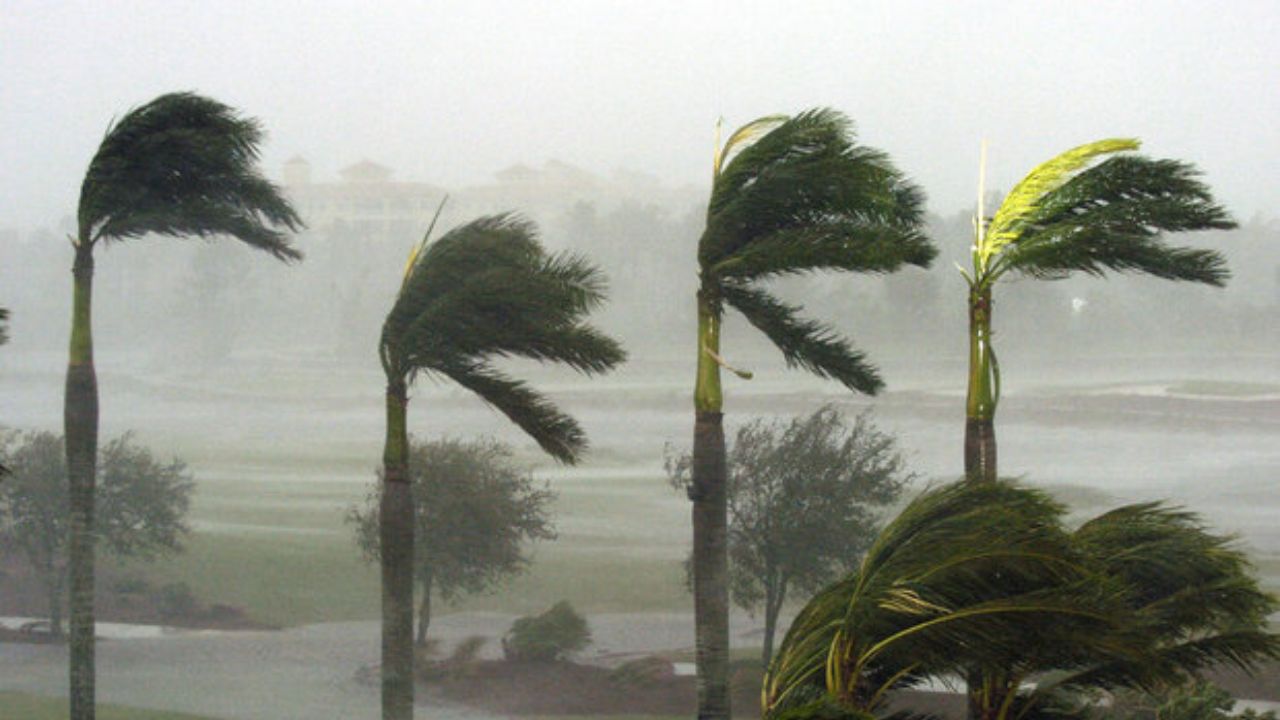 اخبار هواشناسی اخبار هواشناسی