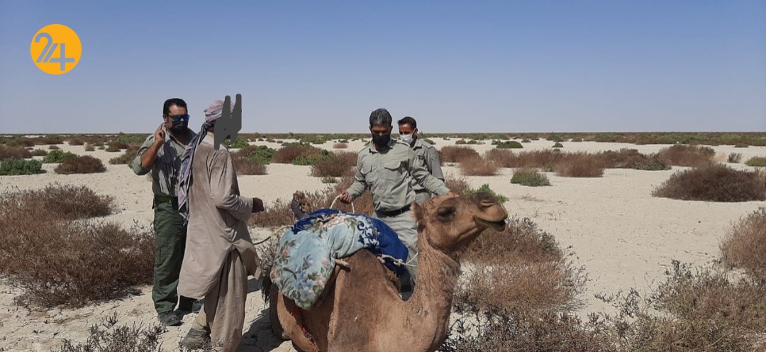 تالاب هامون خط قرمز محیط زیست سیستان و بلوچستان تالاب هامون خط قرمز محیط زیست سیستان و بلوچستان