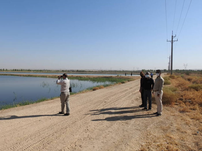 برگزاری تور پرنده نگری به مناسبت روز جهانی پرندگان مهاجر