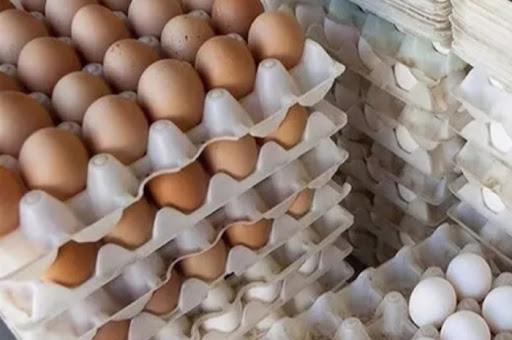 تخم‌مرغ جایگزین گوشت می‌شود؟/ قیمت هر شانه تخم مرغ ۴۶ هزار تومان!