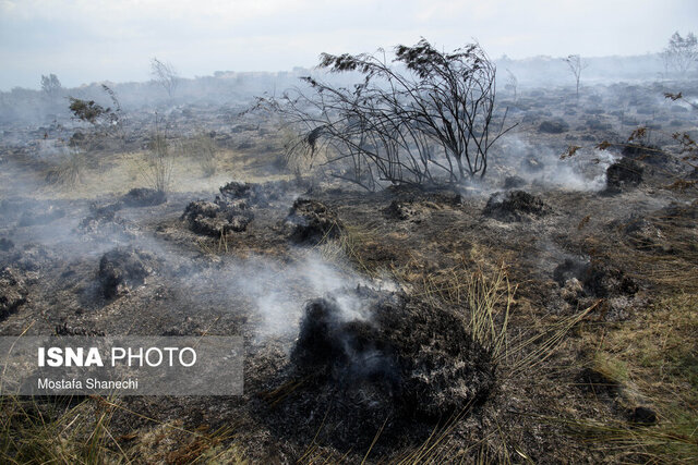 مهار آتش‌سوزی میانکاله