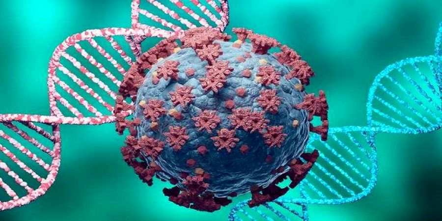 این افراد ژن ضد کرونا دارند ژن ضد کرونا