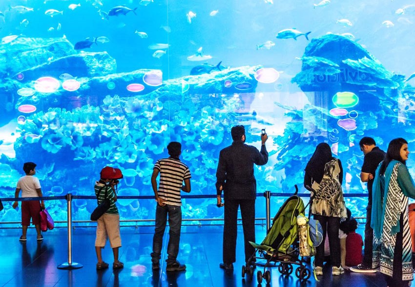 بهترین تورهای دبی