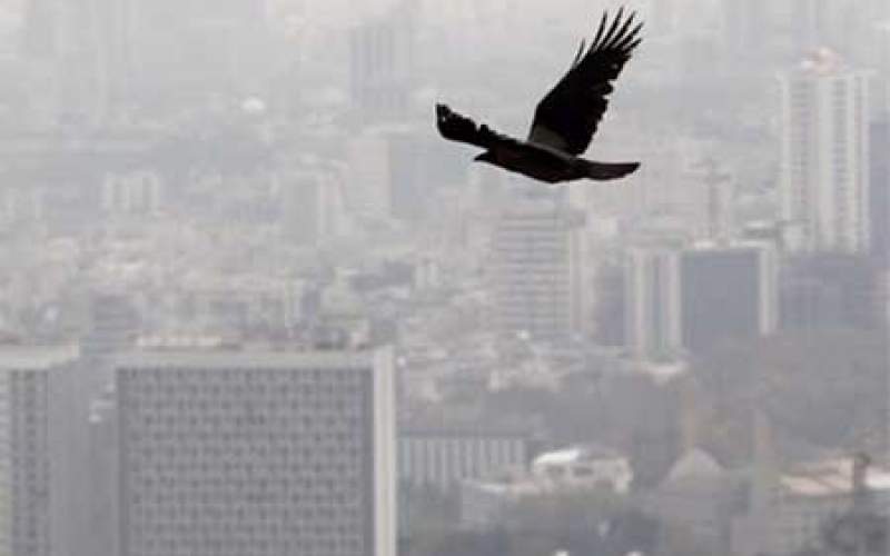 افزایش آلودگی هوای تهران