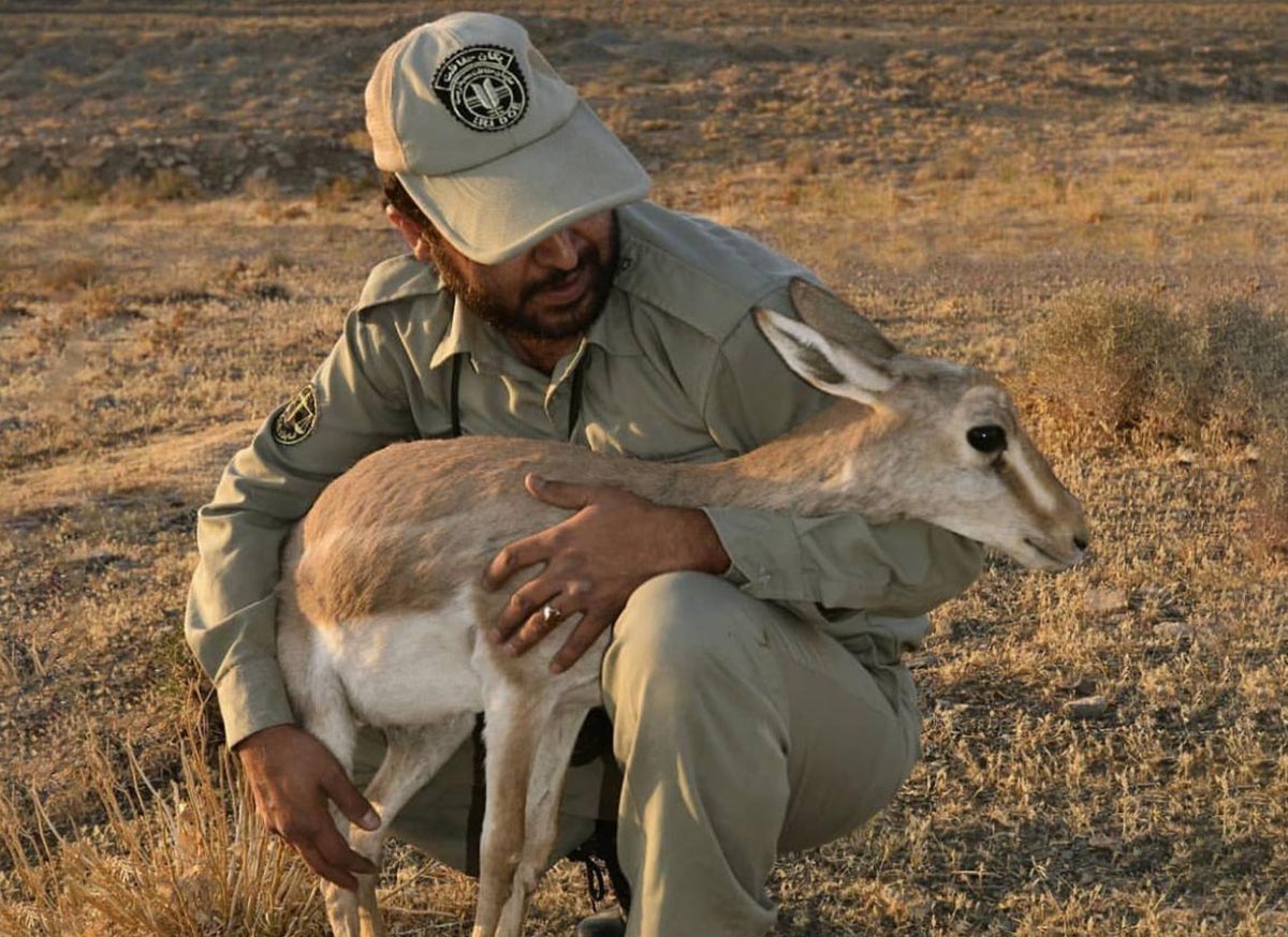 بازداشت محیط بان