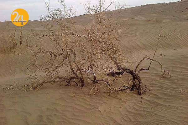 بحران خشکسالی در خراسان جنوبی