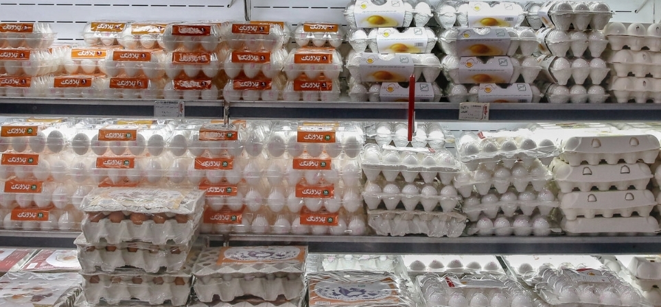 قیمت تخم مرغ
