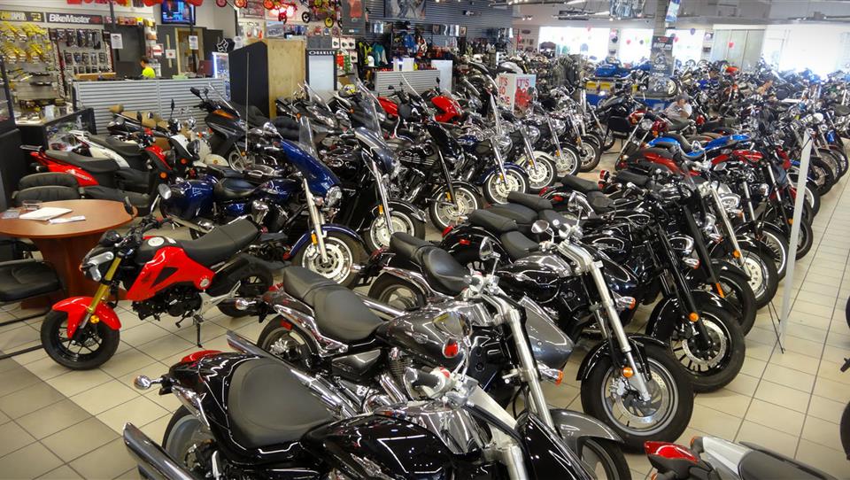 انواع موتورسیکلت در بازار چند؟