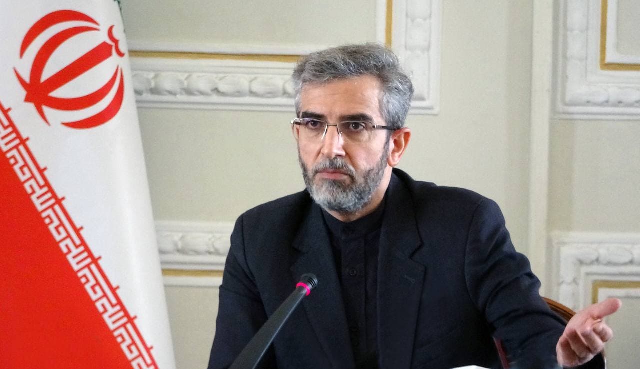 مذاکره کننده ارشد ایران در وین