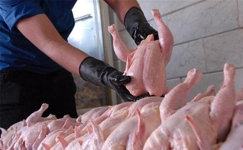 قیمت گوشت و مرغ