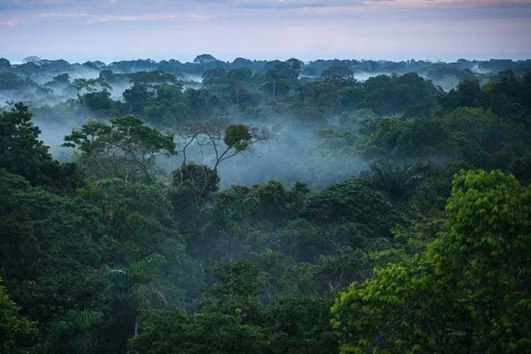 محیط زیست محیط زیست