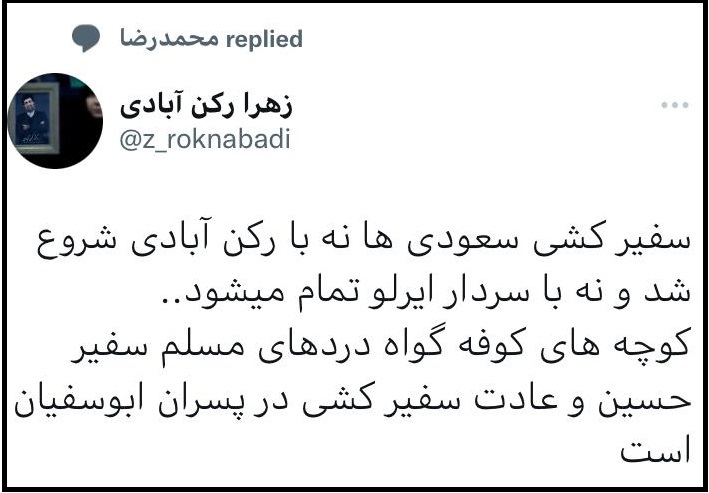 زهرا رکن ابادی حسن ایرلو