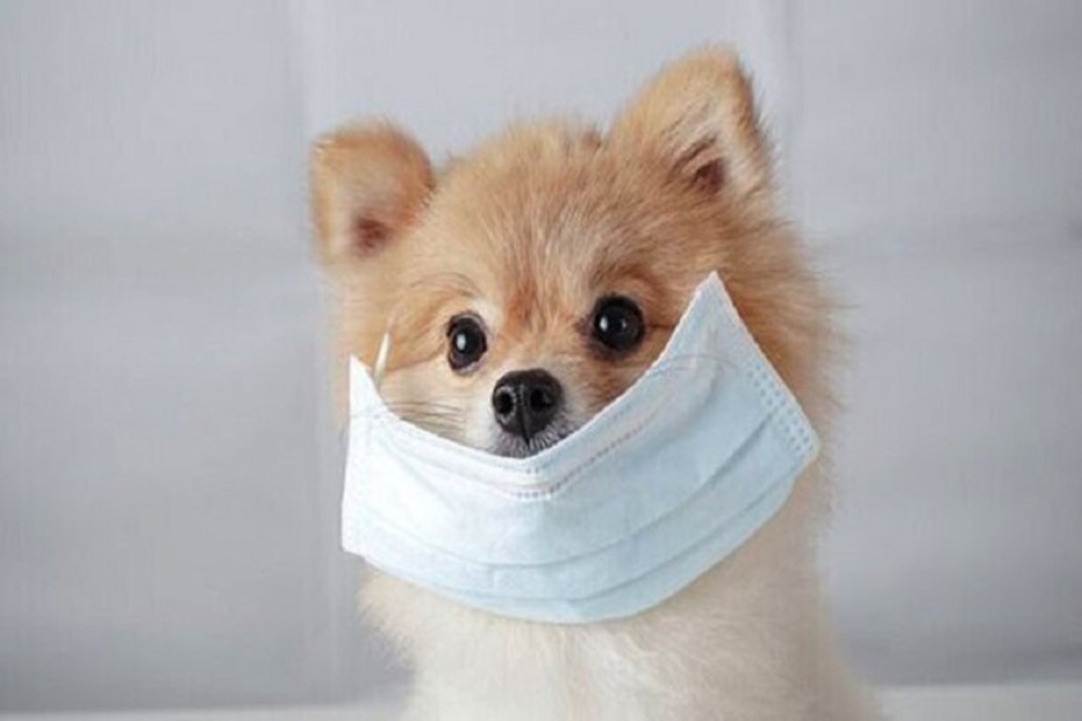 راه های پیشگیری از ابتلا به کرونا